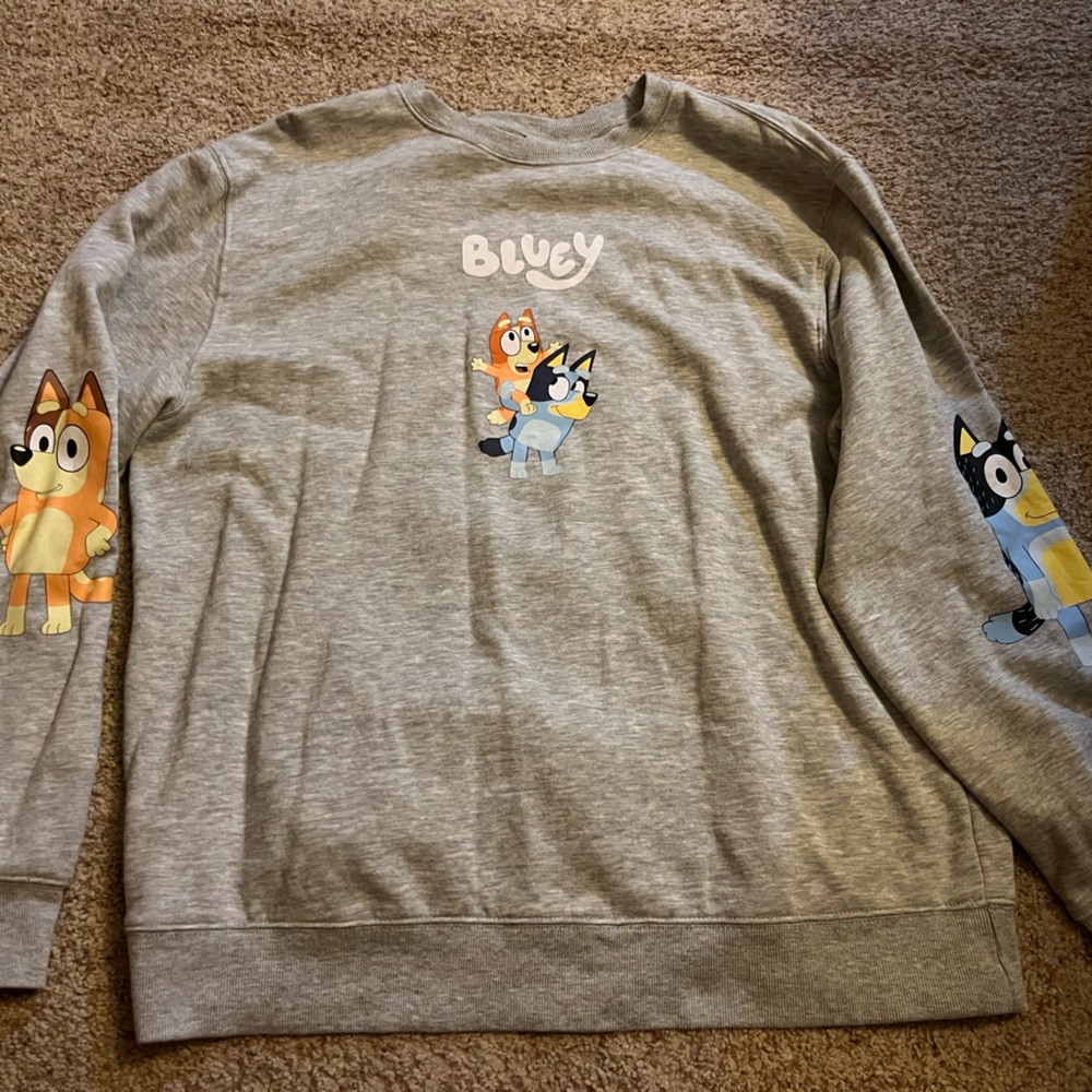 Bluey Sweatshirt - Women’s XL